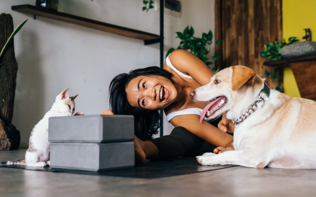 10 Pet Essentials Every First-Time Dog and Cat Owner Should Buy
